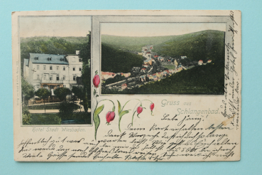 Ansichtskarte AK Gruss aus Schlangenbad 1900-1910 Hotel Stadt Wiesbaden Architektur Ortsansicht Hessen